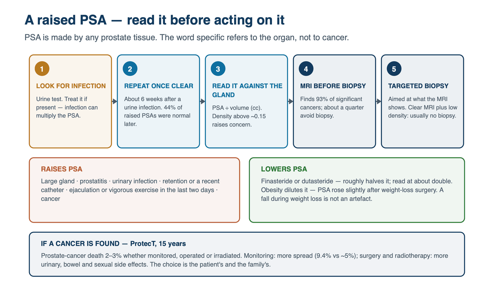 Five steps for a raised PSA: look for infection, repeat once clear, read it against the gland volume, MRI before biopsy, targeted biopsy; what raises and lowers PSA; and the ProtecT 15-year findings if a cancer is found.