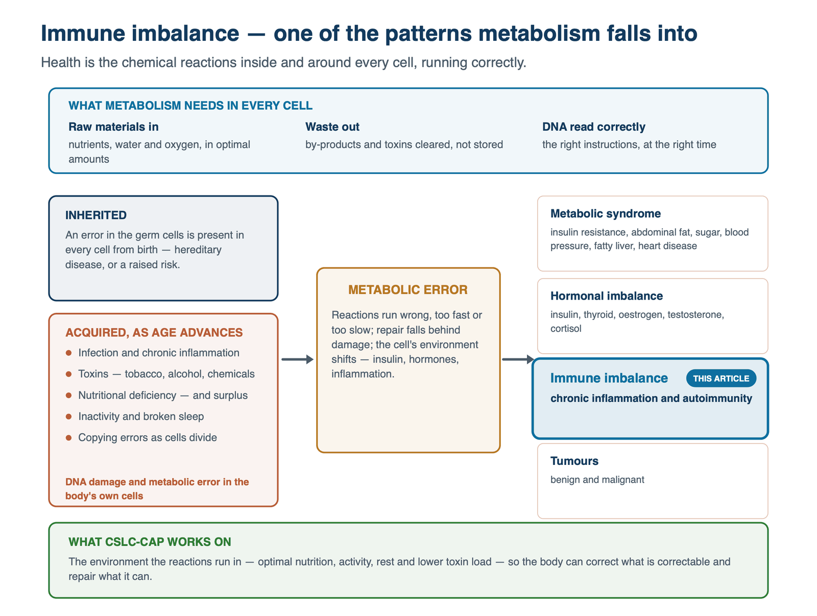 Immune imbalance — one of the patterns metabolism falls into