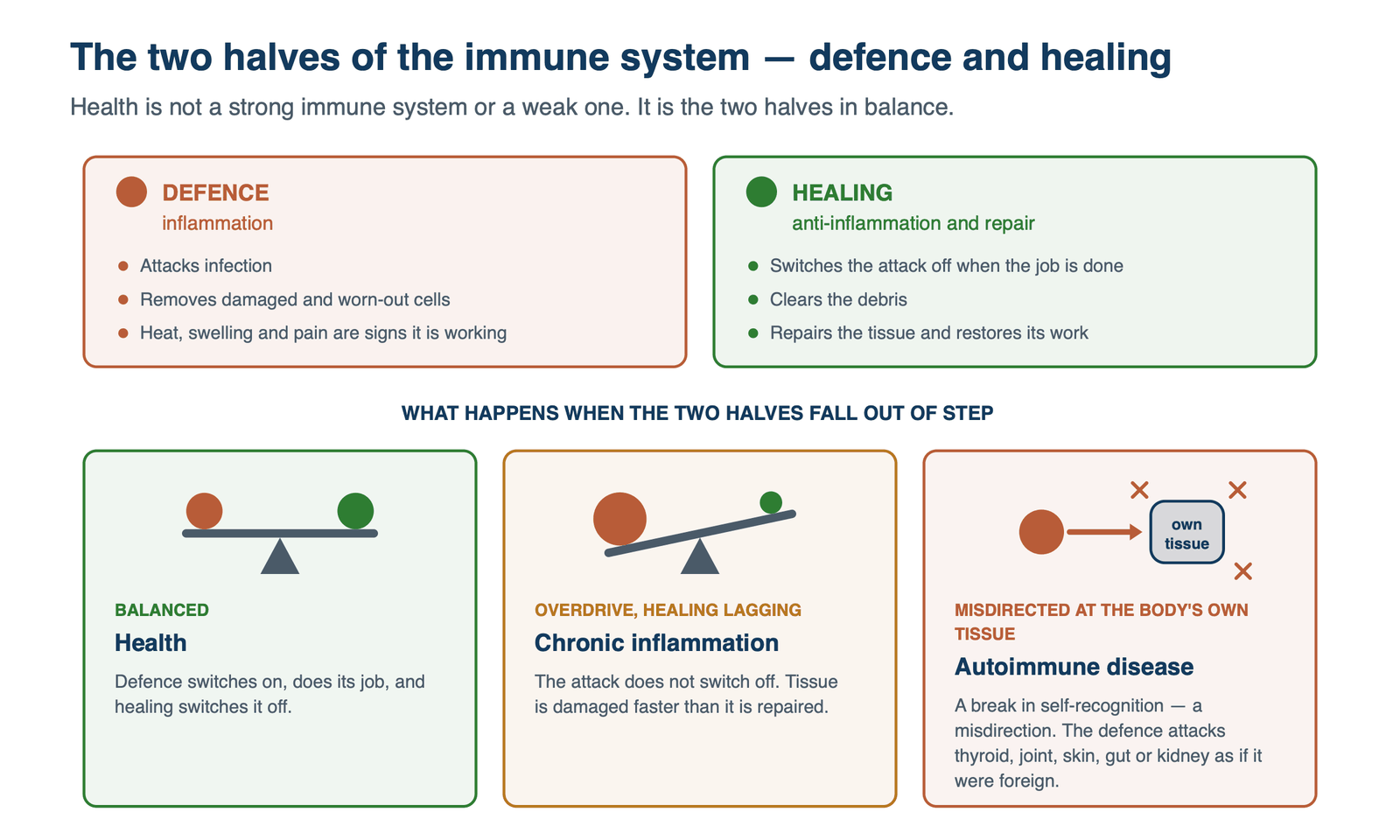 The two halves of the immune system — defence and healing