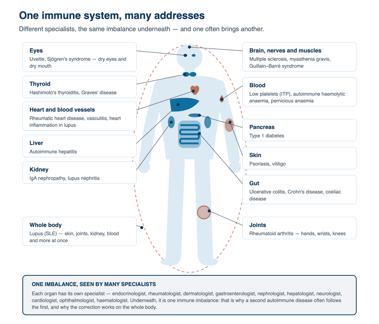 One immune system, many addresses
